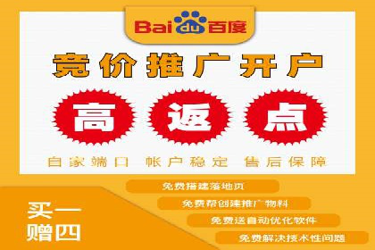百度推广实战：案例分享与效果评估
